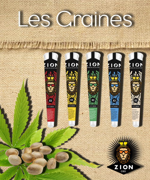 Présentation Zion CBD