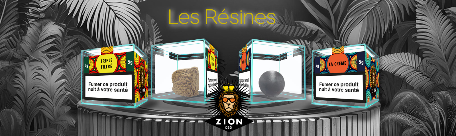 Les Résines Zion