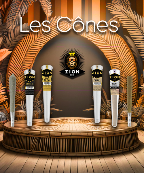 Présentation Zion CBD