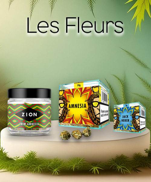 Présentation Zion CBD