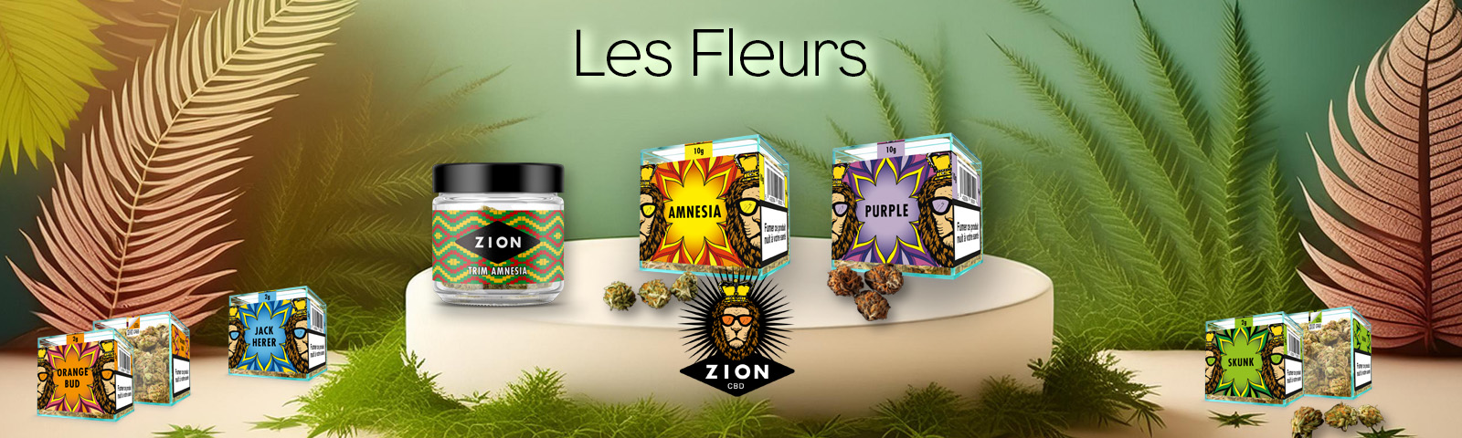 Les Fleurs ZIon CBD